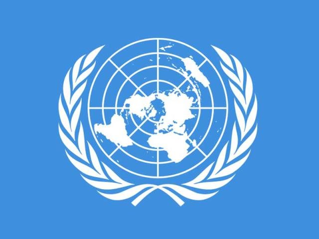 Programme Coordinator, UN
