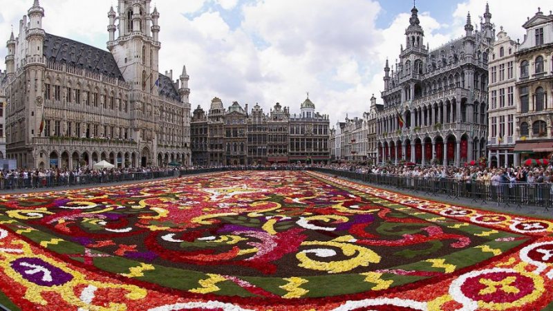 برنامج تبادل ثقافي لمدة 12 شهر منظمة الشباب في بروكسل , بلجيكا