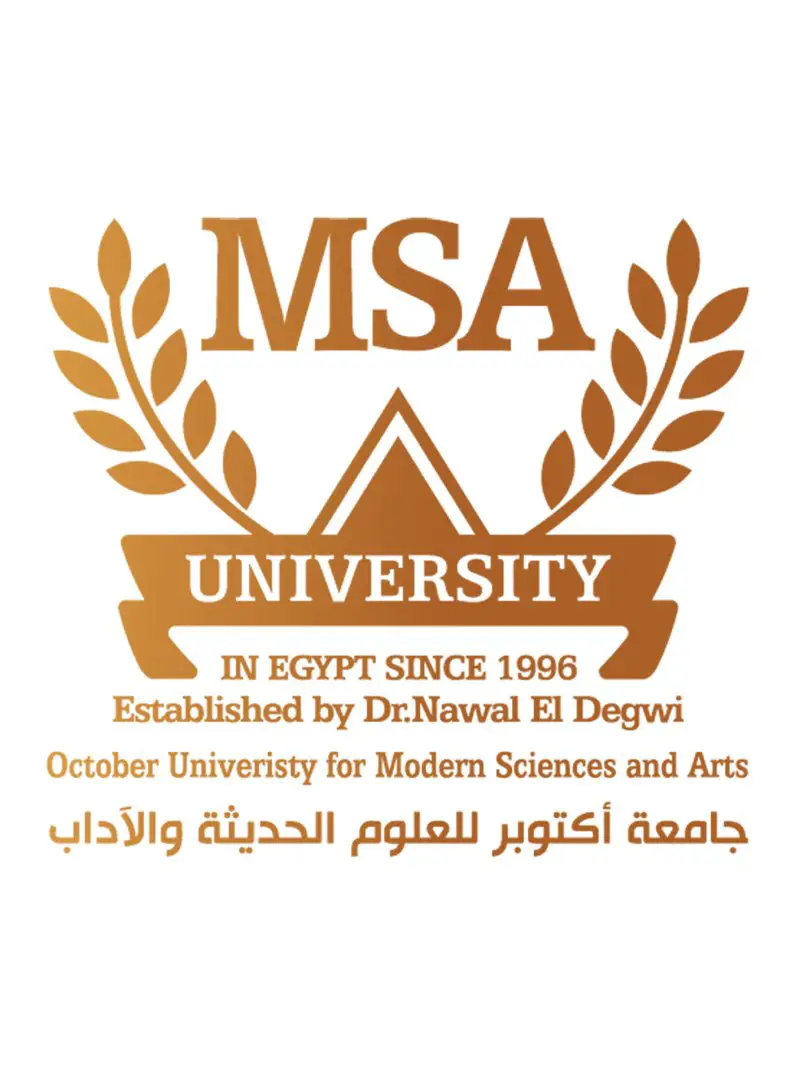 General Accountant at MSA - STJEGYPT