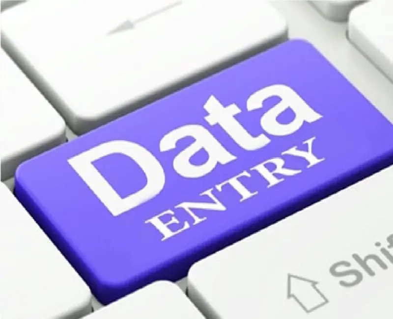 data entry - Financial and tax advisory company - STJEGYPT