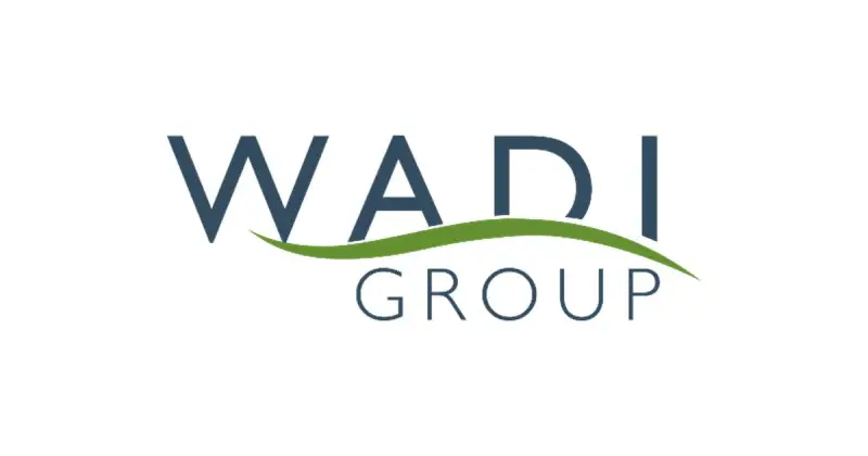 Talent Development Analyst - Wadi Group - STJEGYPT