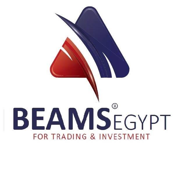 Accountant - BEAMS Egypt for trading and investements - STJEGYPT