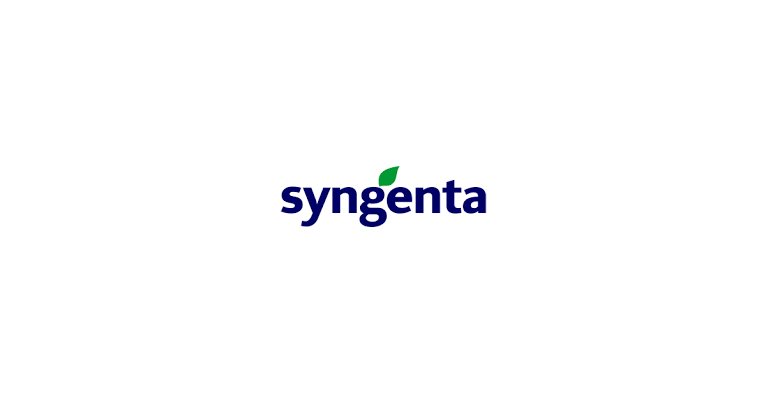 Accountant - Syngenta - STJEGYPT