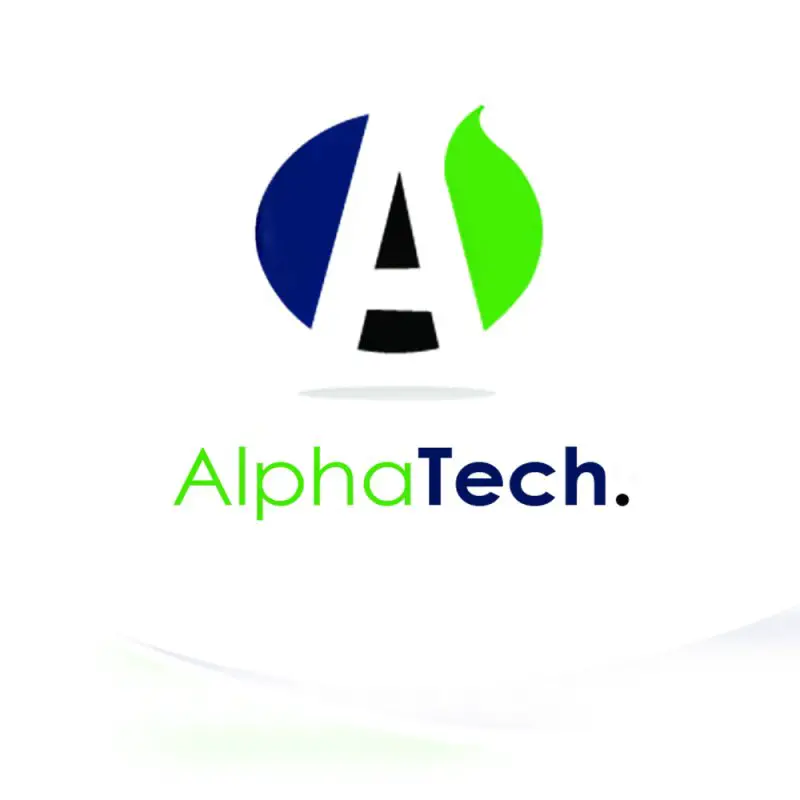 Accountant , Alpha Tech For scale service - STJEGYPT