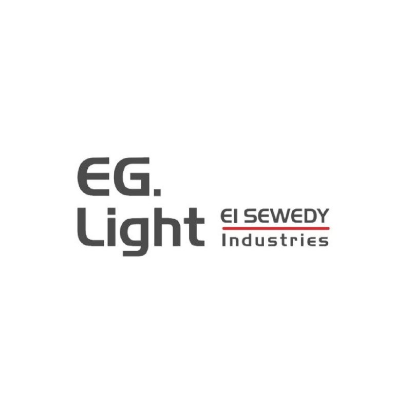 Junior Accountant at eglight-elsewedy - STJEGYPT