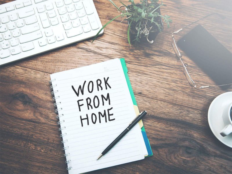 HR job من البيت