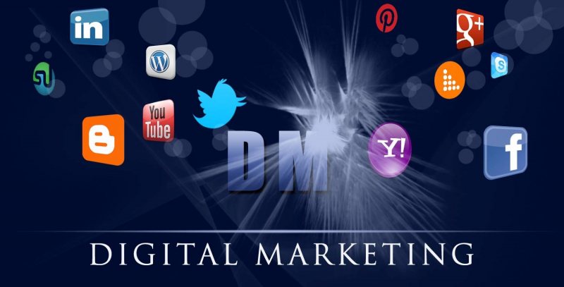 Digital Marketing Head / Specialist - STJEGYPT