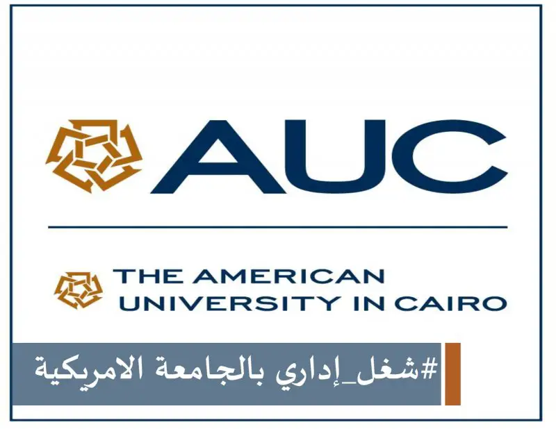 Coordinator Graduate Programs in The American University in Cairo - STJEGYPT