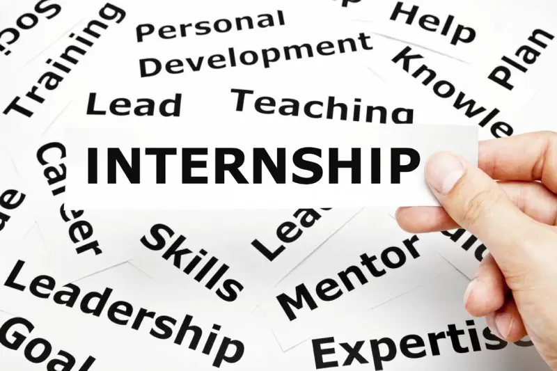 HR internship (unpaid) - STJEGYPT