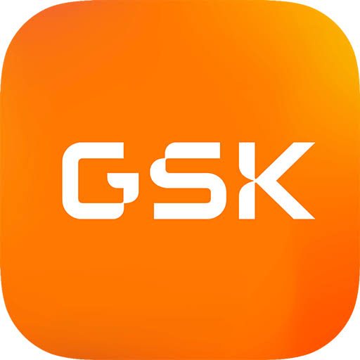 Accountant - GSK - STJEGYPT