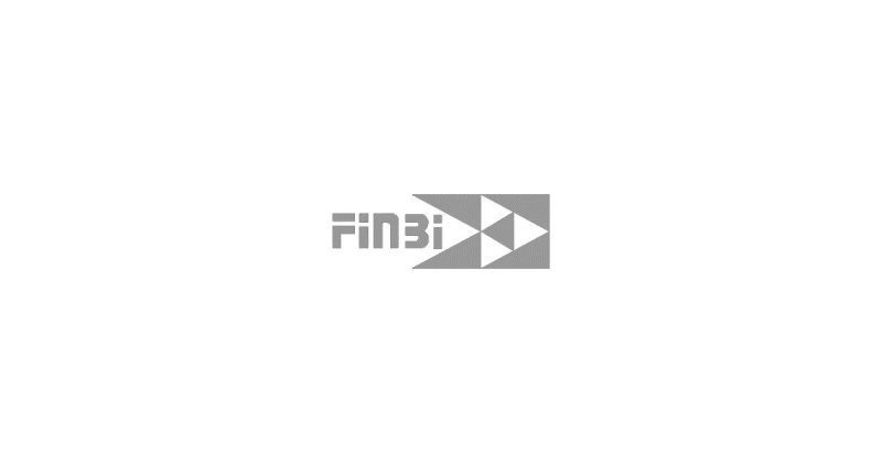 FinBi is hiring 3 positions - STJEGYPT