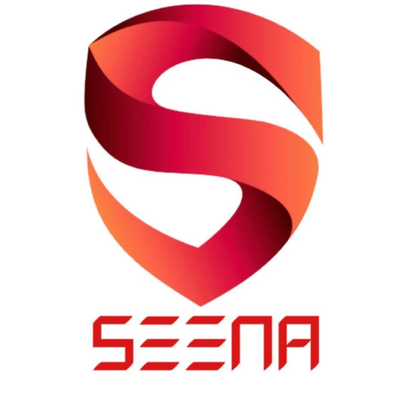 Accountant  at Seena - STJEGYPT