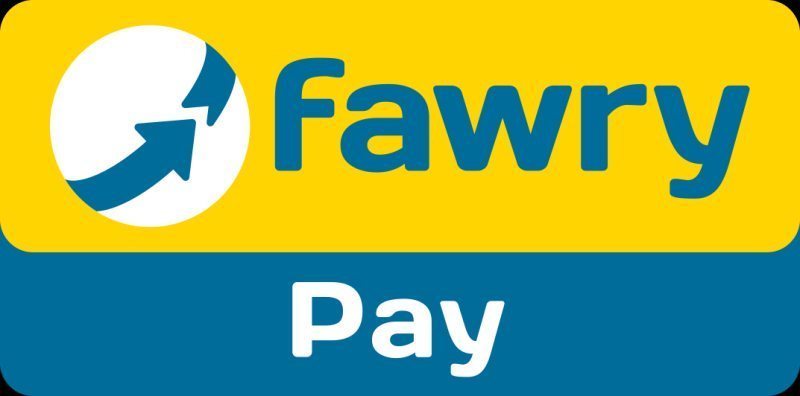 Junior Accountant - Fawry