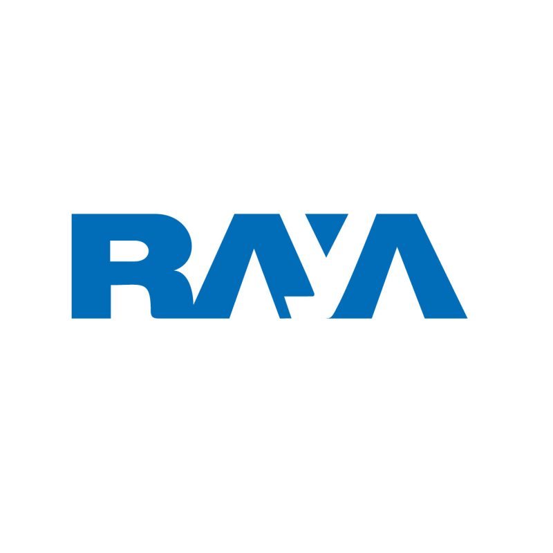 Accountant - Raya - STJEGYPT