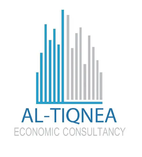 Accountant,Al-Tiqnea Economic Consultancy - STJEGYPT