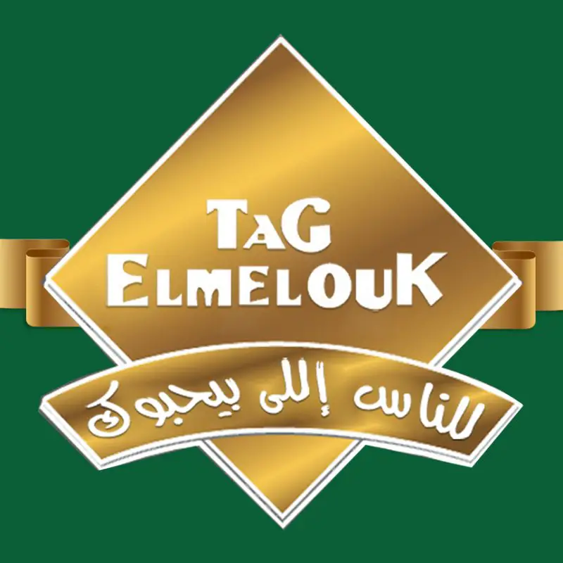 data entry at tag elmelouk - STJEGYPT