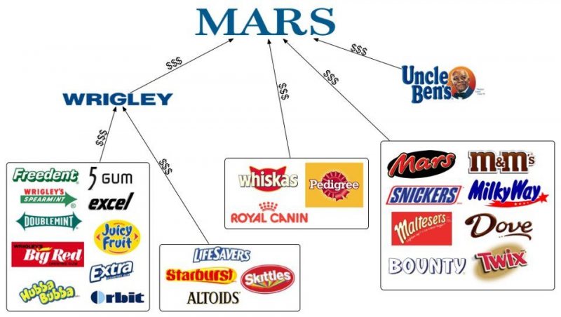 MARS INTERNSHIP, FRESH GRADUATES  AND SENIORS GRADUATING - STJEGYPT