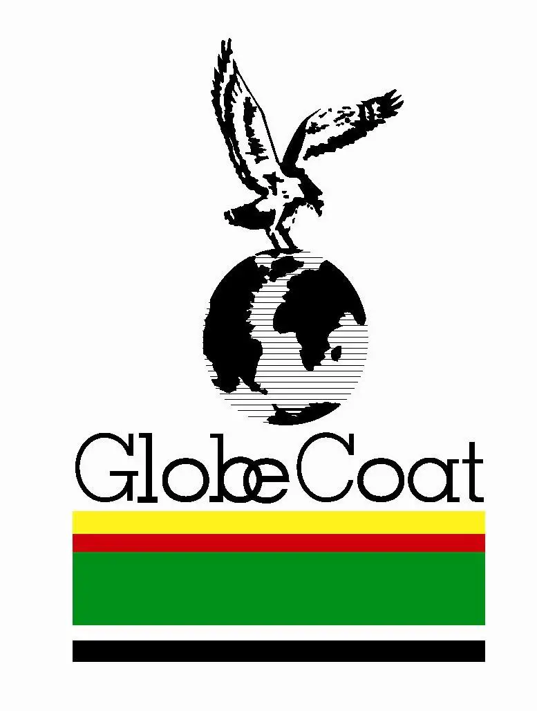 Accountant at Globecoat - STJEGYPT