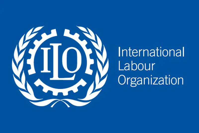 Administrative Clerk at International Labour Organization - STJEGYPT