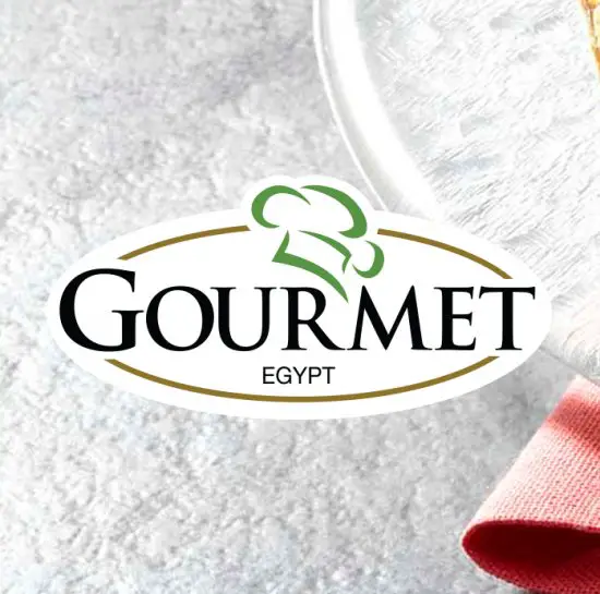 Accountant at gourmet Egypt - STJEGYPT