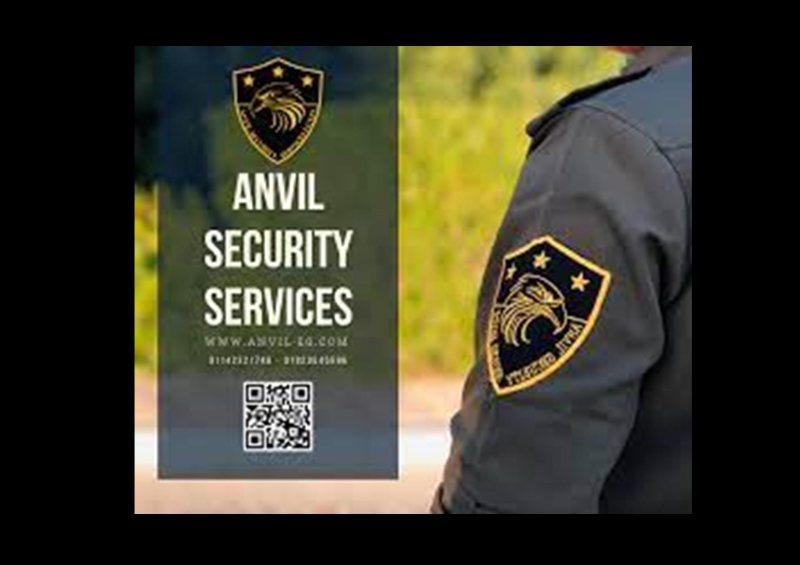 Senior Accountant - Anvil For Security Services - STJEGYPT