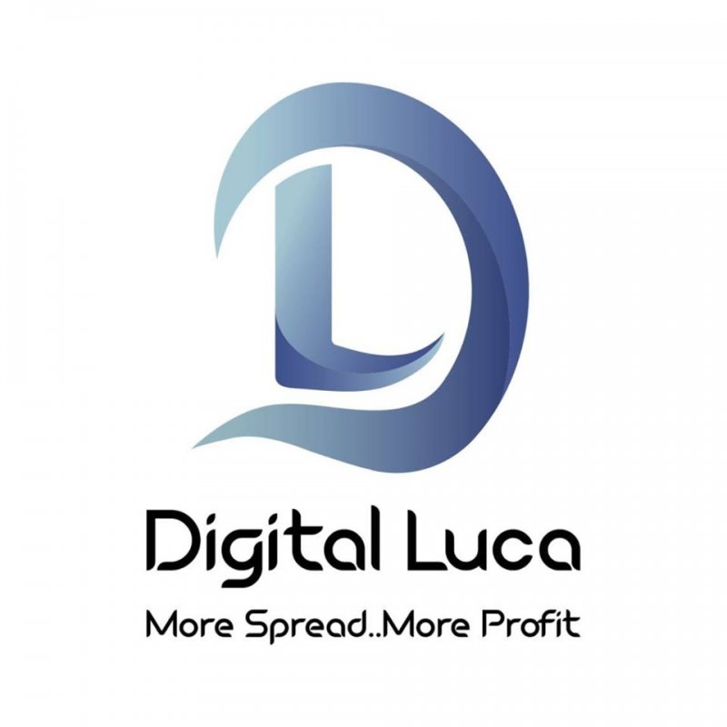 Financial Accountant , Digitalluca - STJEGYPT