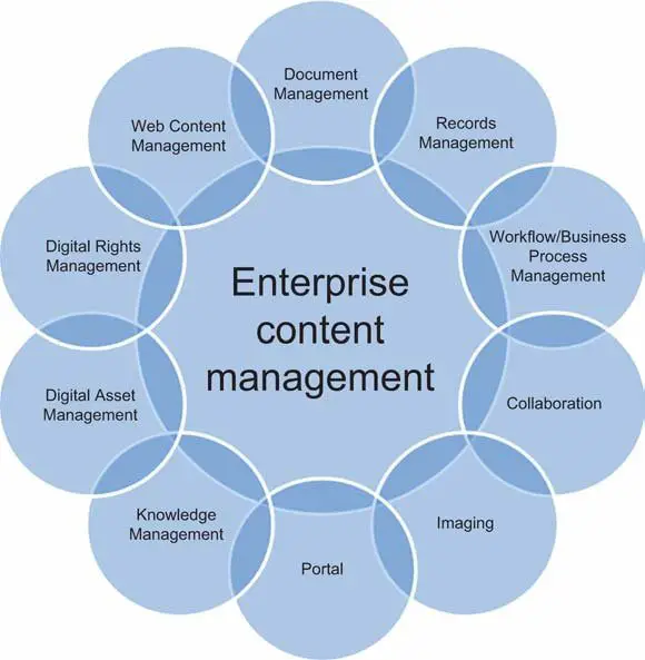 الدليل الشامل عن  MBA (ماجستير ادارة أعمال ) 10. المادة: Managing the Established Enterprise. - STJEGYPT