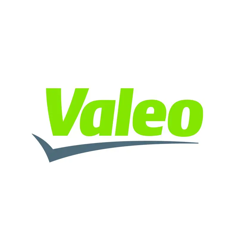 Junior Talent Acquisition Officer at Valeo - STJEGYPT