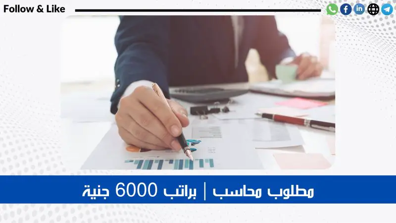 Accountant - Giza Cable Industries - STJEGYPT