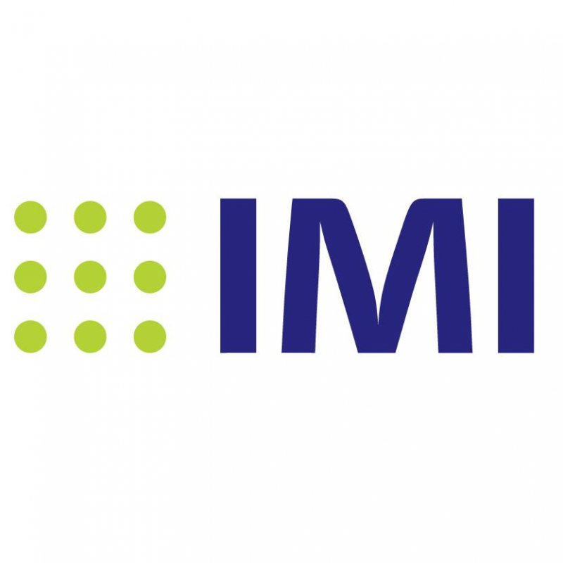 Recruitment Specialist at IMI International - STJEGYPT