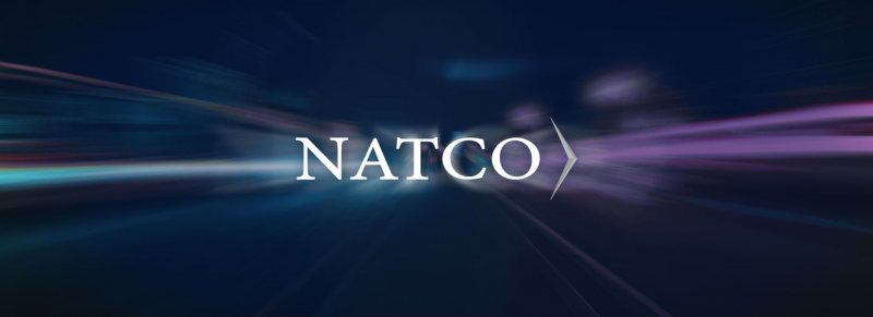 Senior Internal Audit at natco-mercedes - STJEGYPT