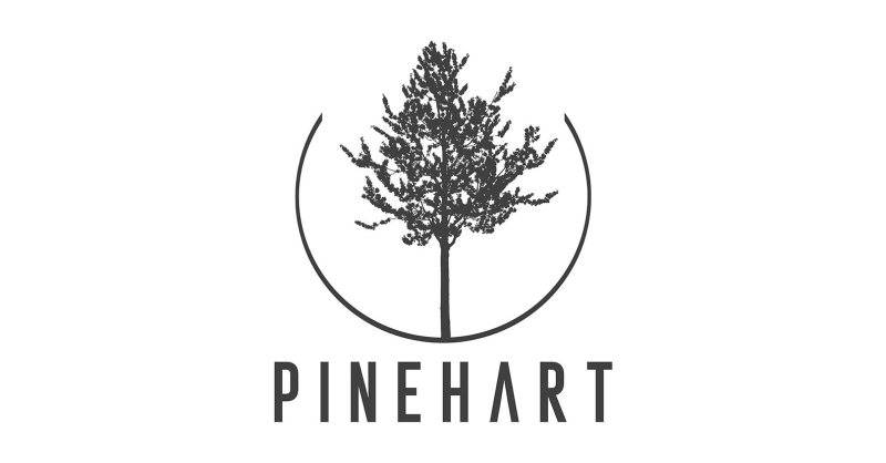Graphic Designer - Pinehart (From Home) - STJEGYPT