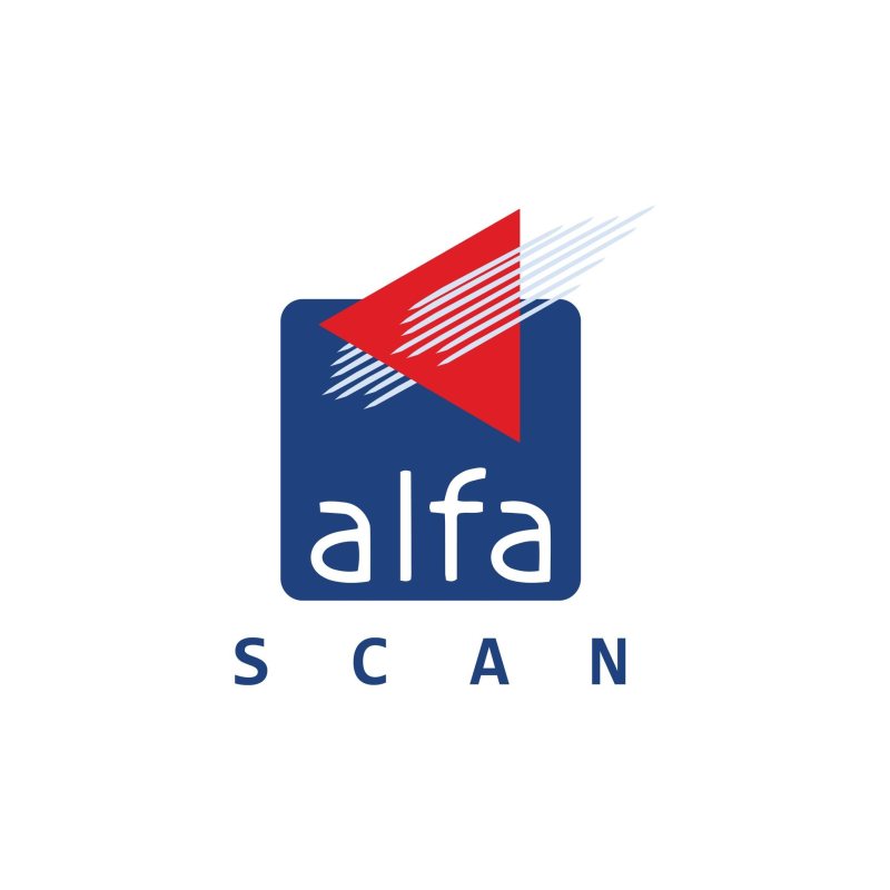 Call Centre at Alfa Scan - STJEGYPT