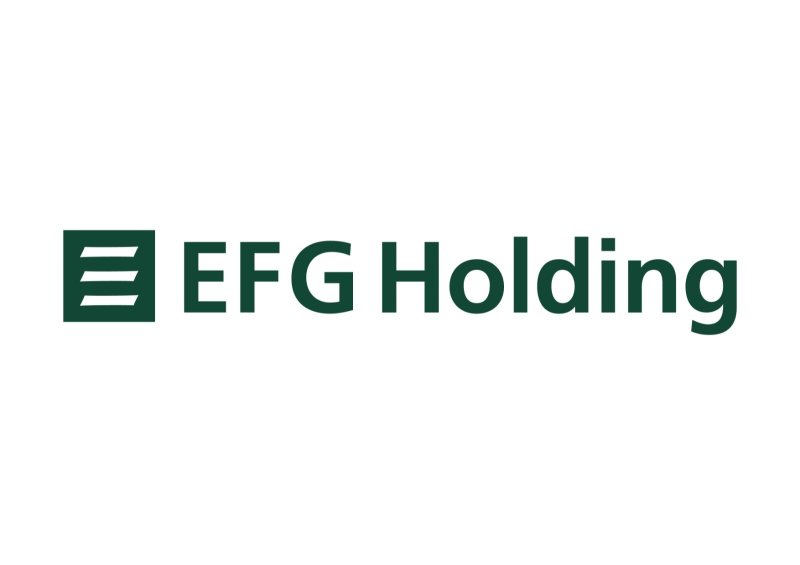 Junior Financial Analyst at EFG Holding - STJEGYPT