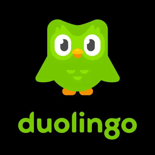 ما هو برنامج Duolingo - STJEGYPT