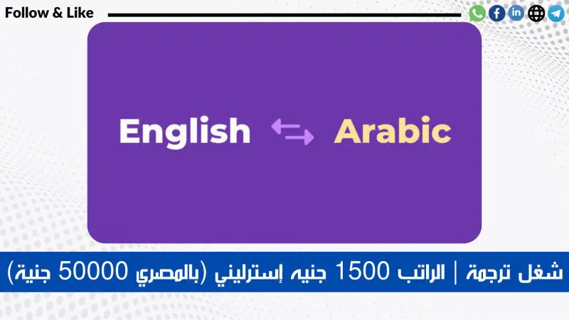 مترجم - إنجليزي عربي - STJEGYPT