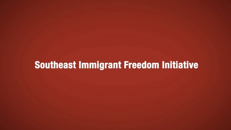 2020 Summer Legal Internship - Southeast Immigrant Freedom Initiative - STJEGYPT