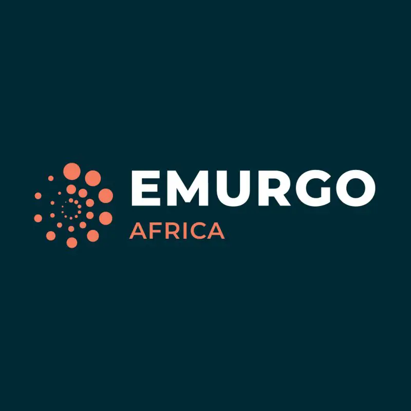 Senior Digital Marketing Officer at EMURGO Africa - STJEGYPT