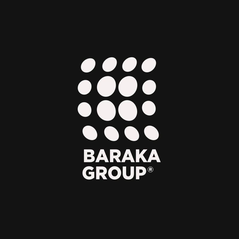 Audit Accountant at Baraka group - STJEGYPT