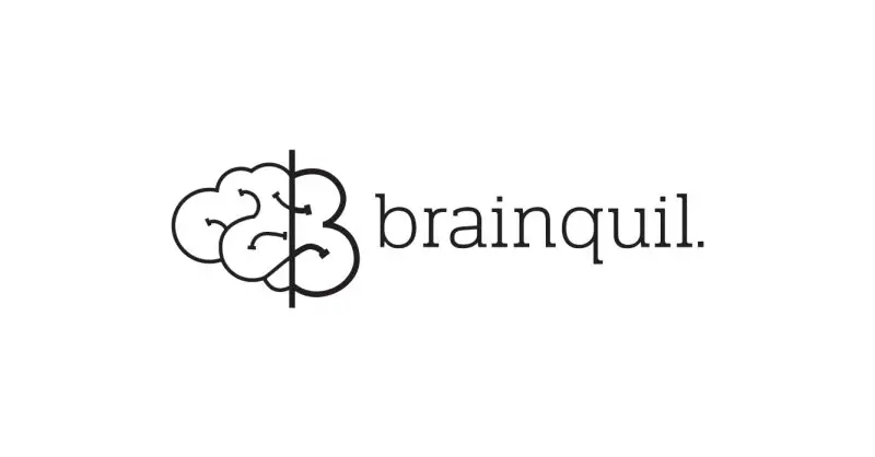 Accountant At brainquil company - STJEGYPT