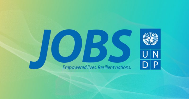 Senior Technical Adviser, UN - STJEGYPT