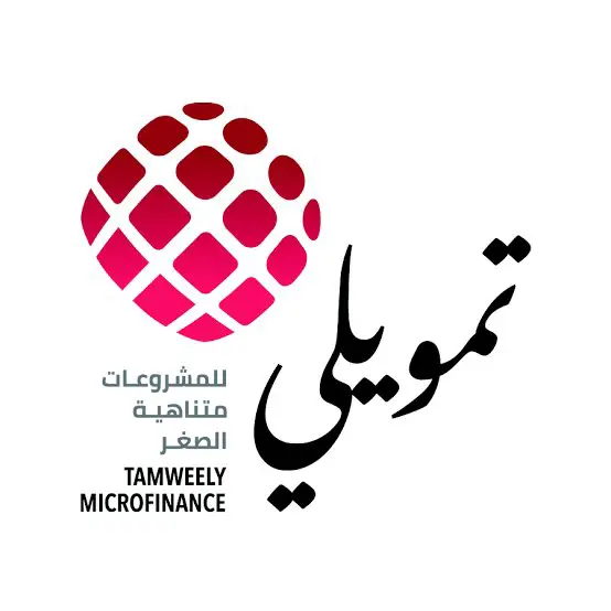 Treasury Accountant At Tamweely for microfinance - STJEGYPT