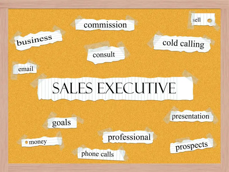 Fresh sales executive - STJEGYPT
