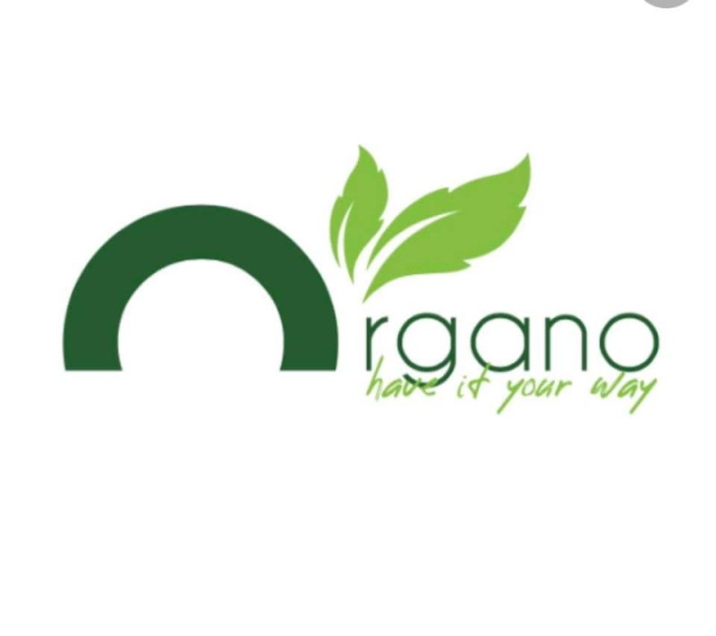 Junior Accountant at Organo Group - STJEGYPT