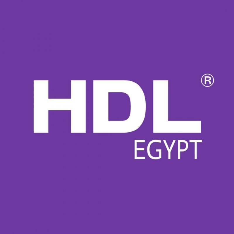 General Accountant at HDL Egypt - STJEGYPT
