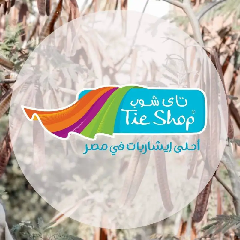 Accounting at Tie Shop - STJEGYPT