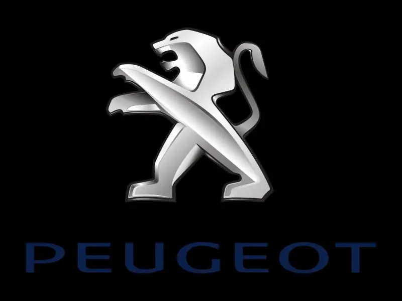 باحث تسويقي في شركة بيجو | Peugeot - STJEGYPT
